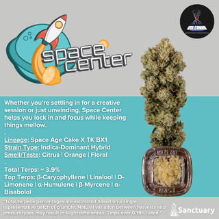 Space Center - Cured Resin Volcanna