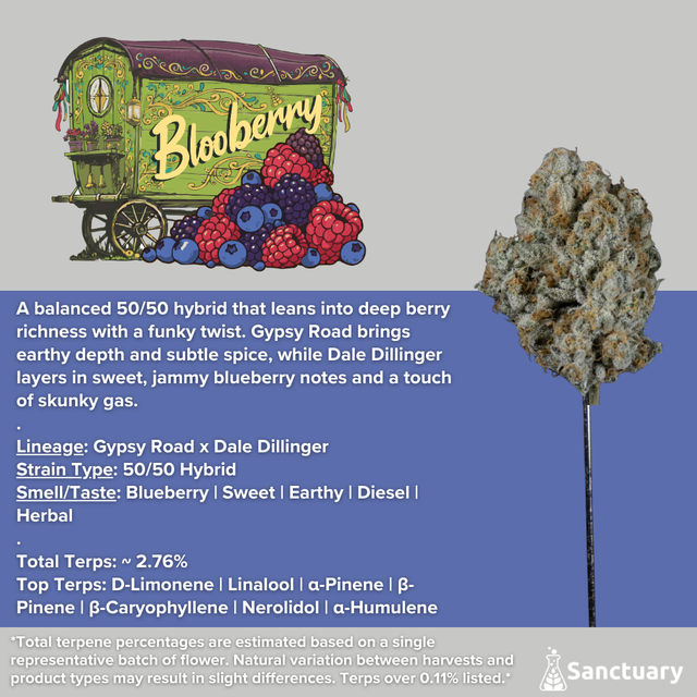 Blooberry Sanctuary