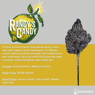 Randys Candy Sanctuary