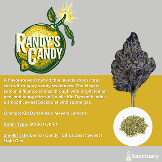 Randys Candy Sanctuary