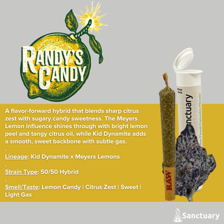 Randys Candy Sanctuary Randys Candy Sanctuary