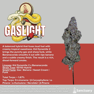 Gaslight Sanctuary