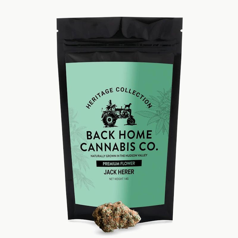 Back Home Cannabis| Jack Herer 1/2 Oz
