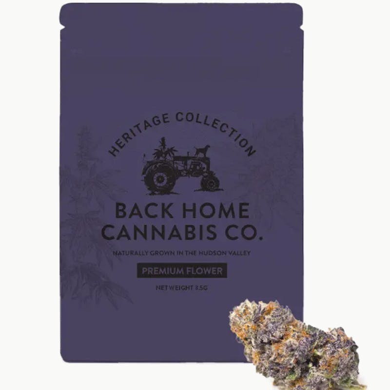 Back Home Cannabis| Gorilla Glue