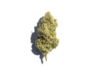 Cannabis Promo, Cannabis Sales, Cannabis Discounts, Cannabis on Sale, Thrifty Thursday 10% 2