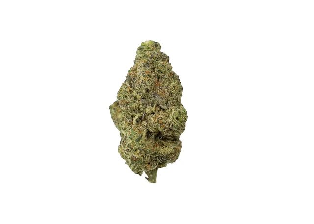 Black Chem Coastal Roots
