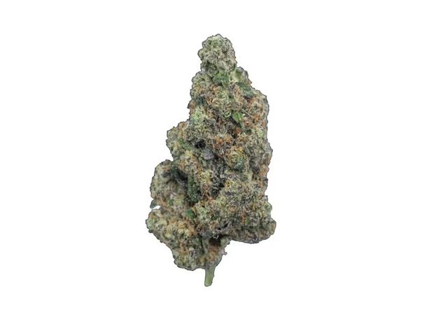 Sour Kush Coastal Roots