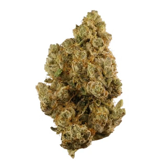True OG Coastal Roots