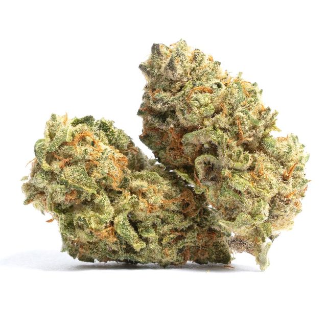 Mass Super Skunk Coastal Roots