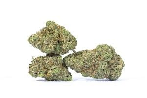 Lava Cake x GMO MAC Coastal Roots