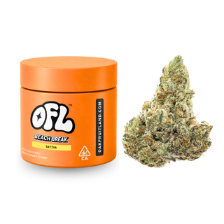 Beach Break Oakfruitland