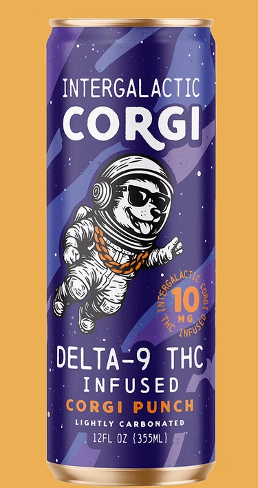 Corgi Punch Intergalactic Corgi