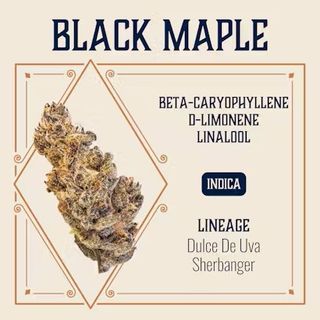 Black Maple Blossom Flower