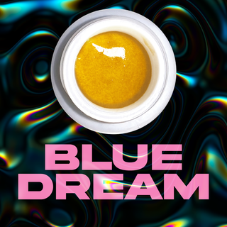 Blue Dream Live Bullet Train