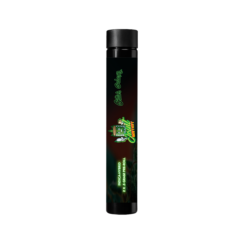 Gillie's Galaxy | Joint Custody