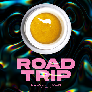 Road Trip  Bullet Train