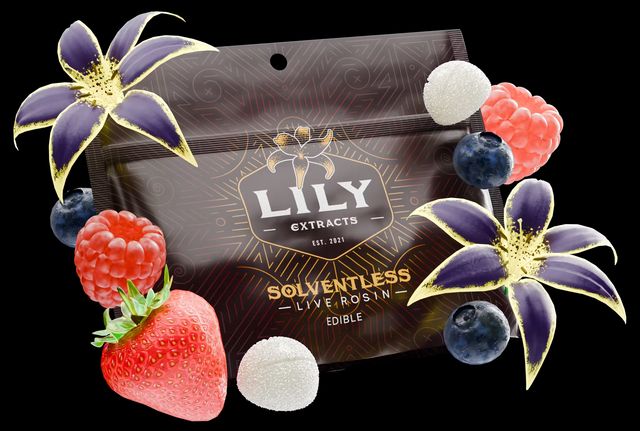 Hashberry | Live Rosin  Lily Extracts