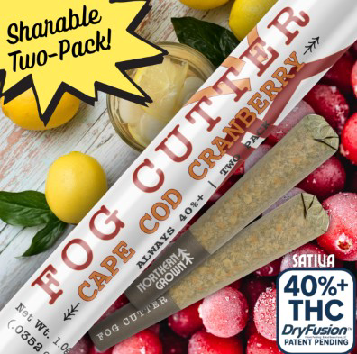 Mystic River Mango Fog Cutters