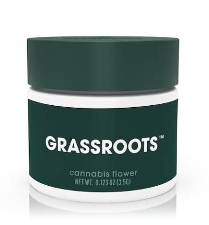 - Wild Garlic Grassroots