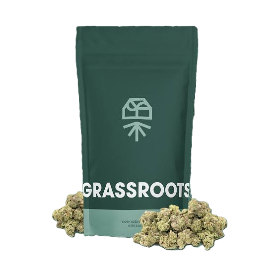 - Orange  Z  Grassroots