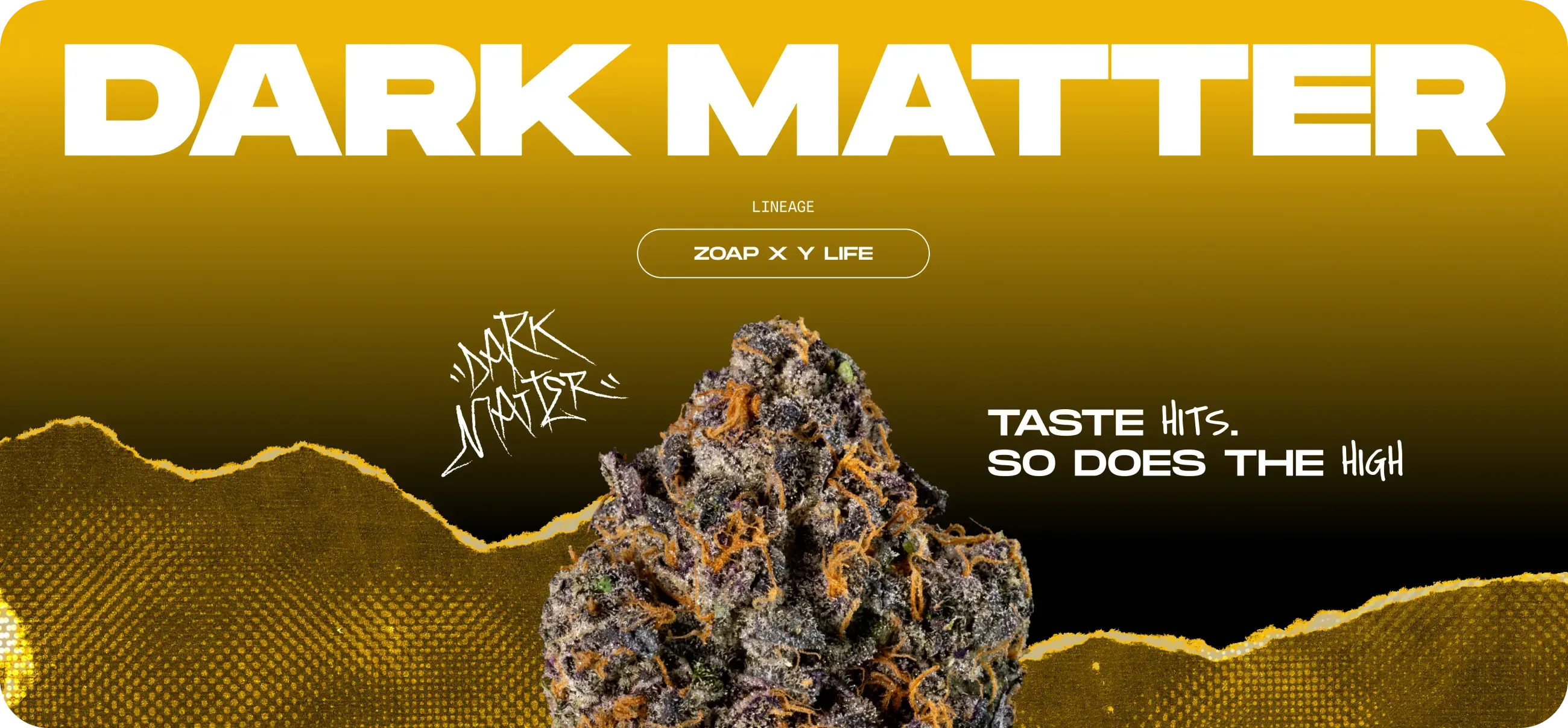 WIZARD TREES: Dark Matter
