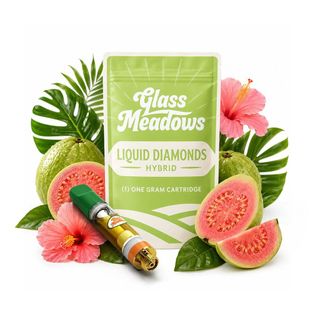 Guava Lava - Cartridge - Glass Meadows