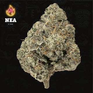 Kine Garlic Cookies NEA