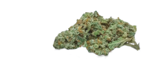 Sour OG Suspect