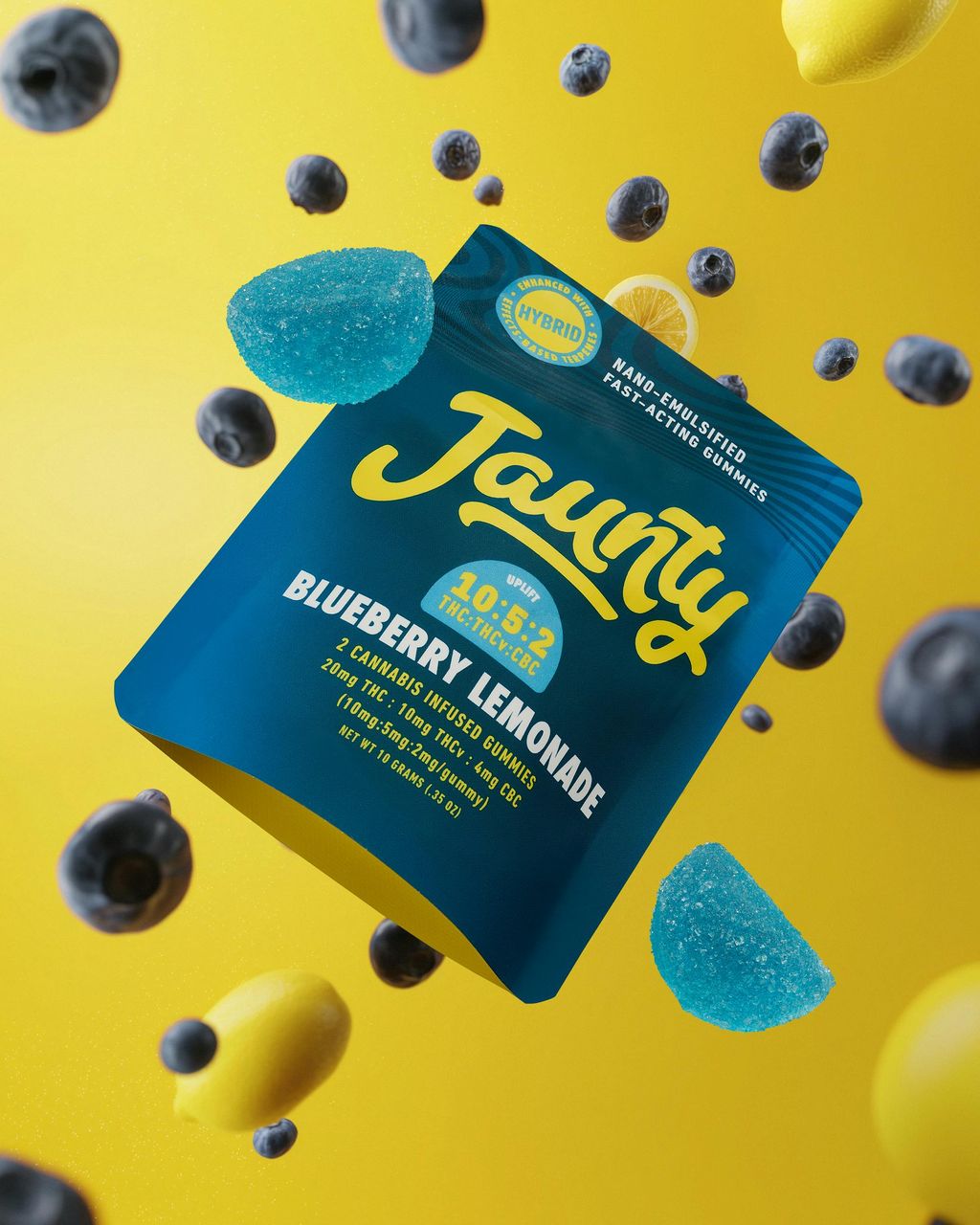 Blueberry Lemonade