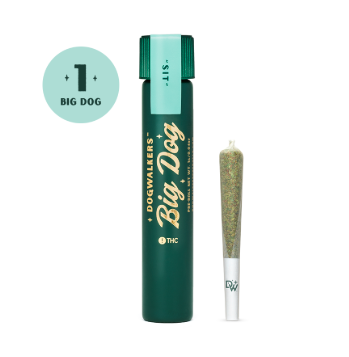 Big Dogs Mystic Mint(Sit)