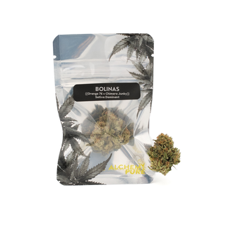 Bolinas Alchemy Pure