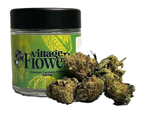 Village Tangerine Sugar Microgrow Village Flower