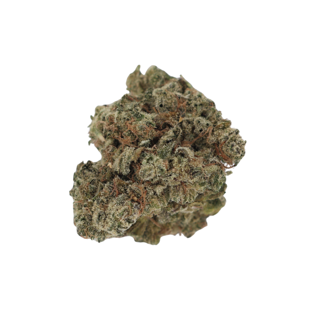 Island Octane |  Hamilton Farms