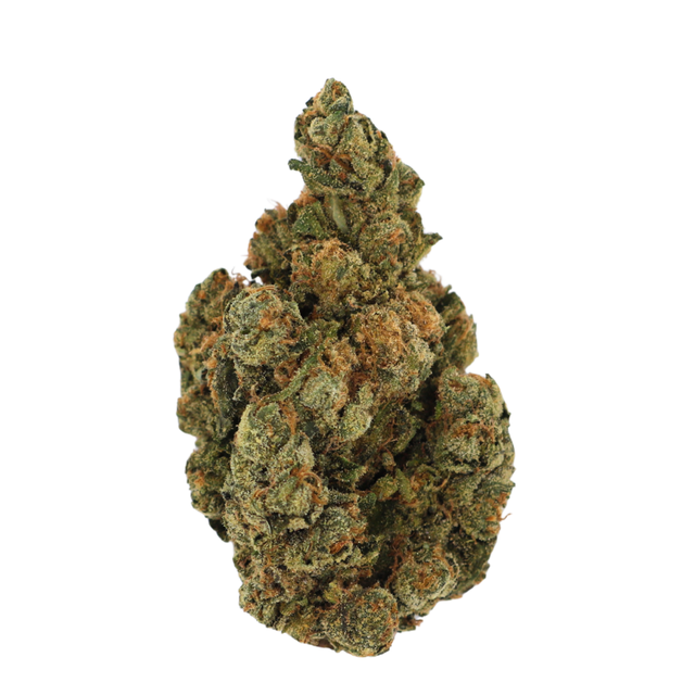 Tuscan Gelato | Hamilton Farms