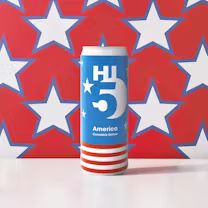 Hi5 America Theory Wellness