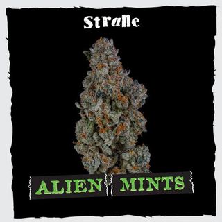 Alien Mints Strane