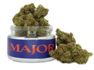 Purple Diesel 3.5g Major