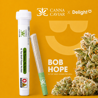 Bob Hope Canna Caviar