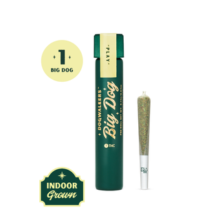 Sour Diesel Big Dogs Preroll Dogwalkers