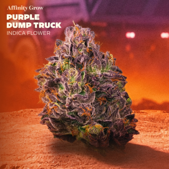 Purple Dump Truck