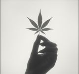 Buy Accessories Cannabis