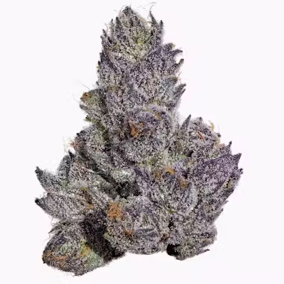 Mad Dog 64 Fig Farms