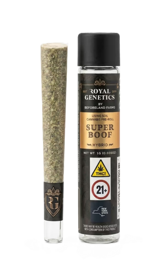Super Boof Royal Genetics