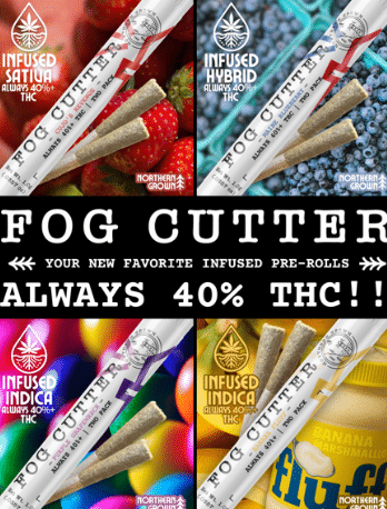 Rainbow Sherbet Fog Cutters