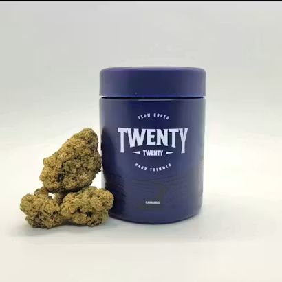 Hash Burger Twenty - Twenty