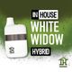 White Widow InHouse White Widow InHouse