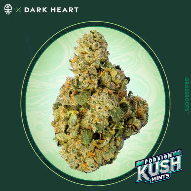Foreign Kush Mints Grassroots