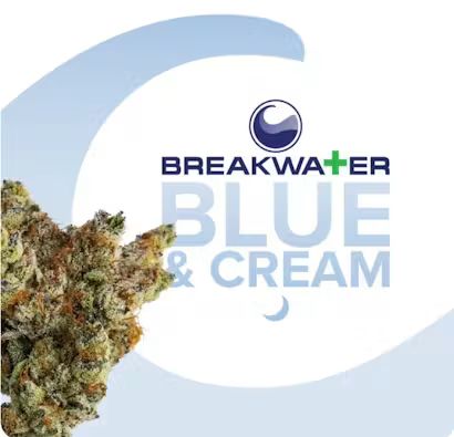 Blue & Cream Breakwater Blue & Cream Breakwater