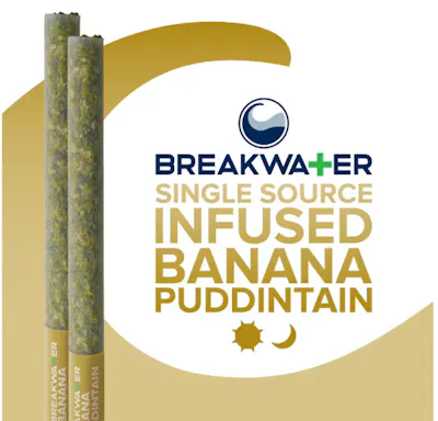 Banana Puddintain x Banana Puddintain Breakwater Banana Puddintain x Banana Puddintain Breakwater