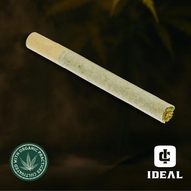 California Peaches Ideal Cannabis